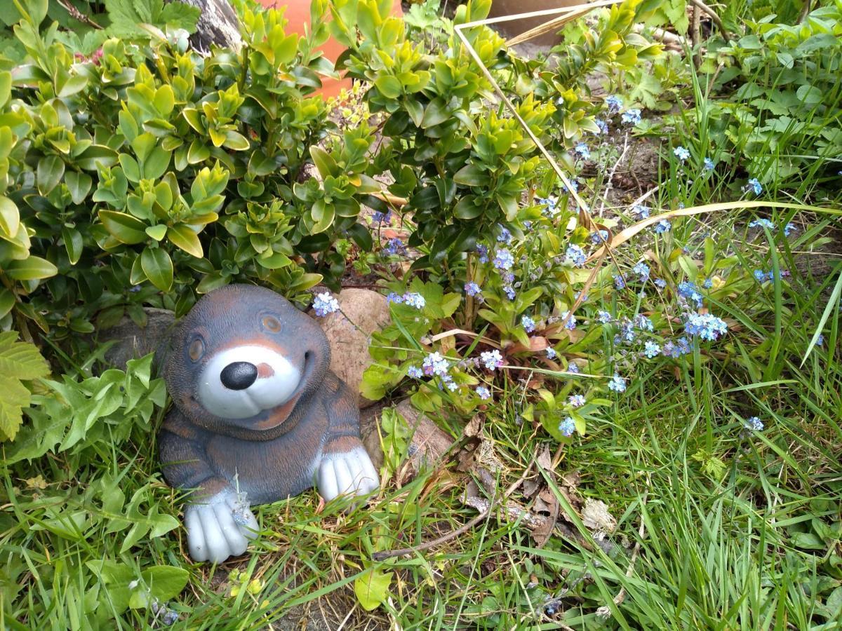 Charmantes In Nordfriesland * Humptrup